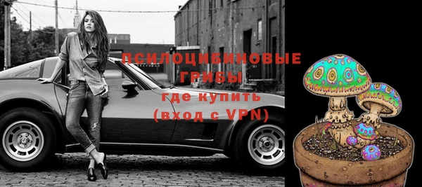 амф Кулебаки