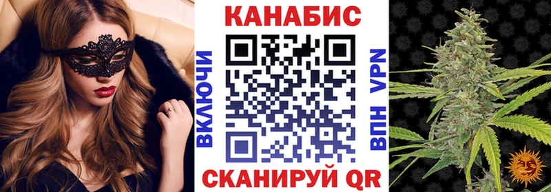 Купить  Карачаевск  Каннабис сатива 